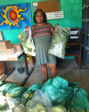 Distribuição de verduras e frutas.